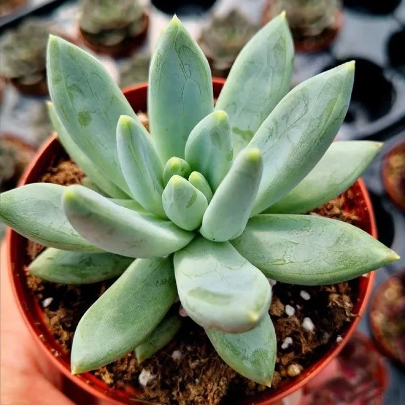 Фото 2