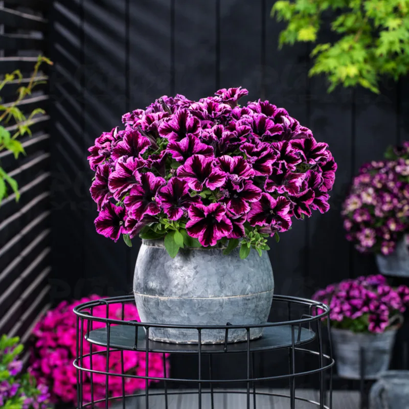 Фото 2