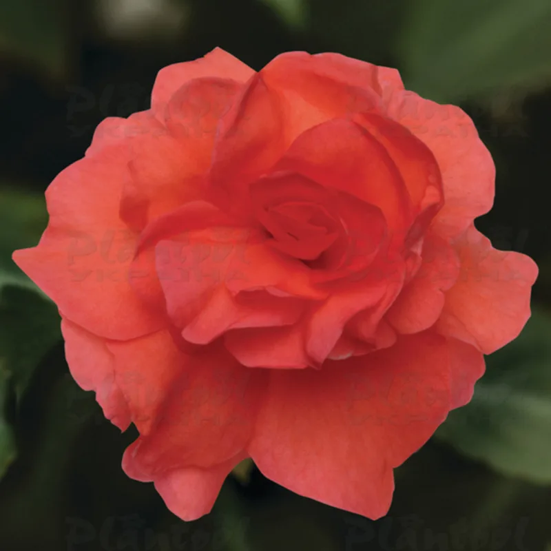 Фото 1