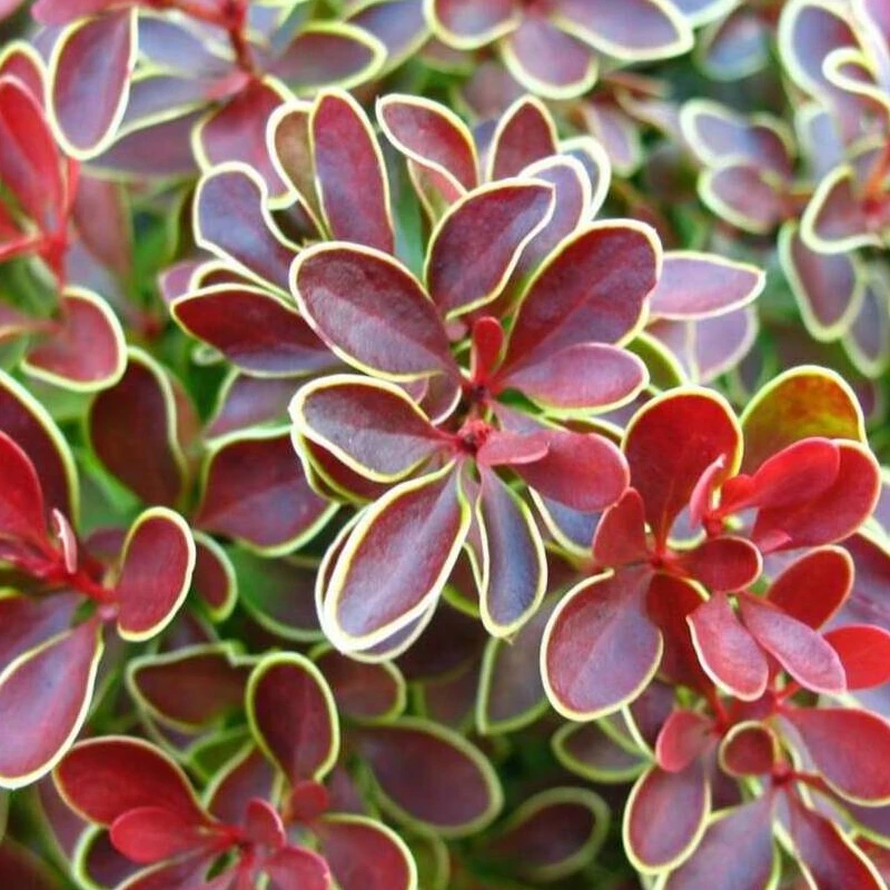 Фото 2