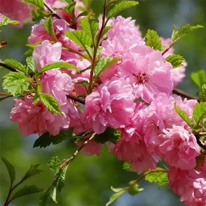 Фото 2