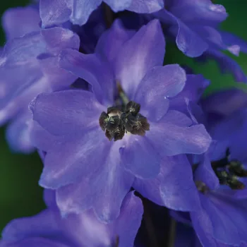 Фото 2