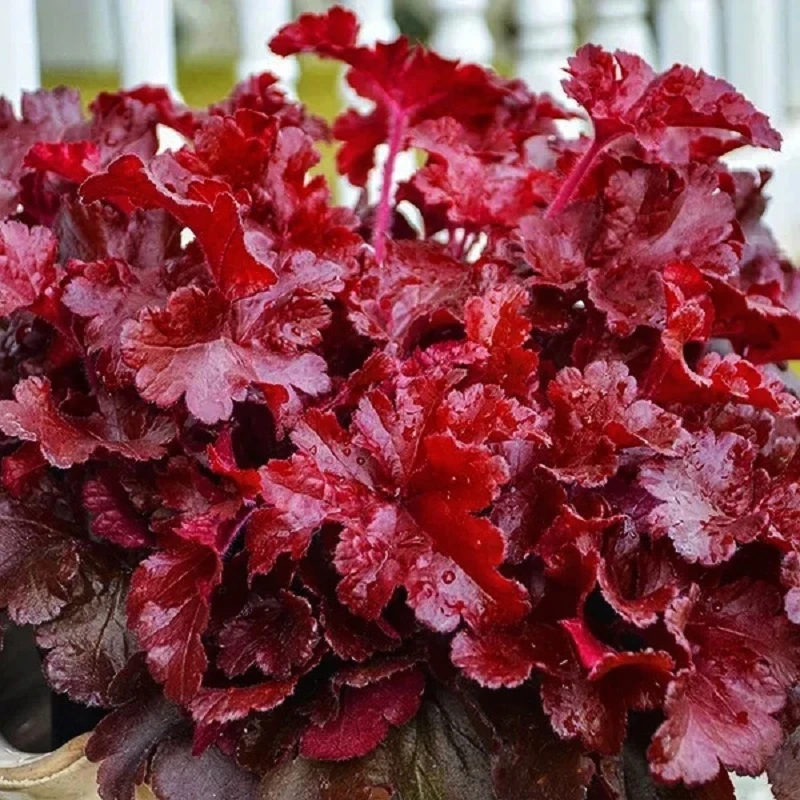 Фото 2