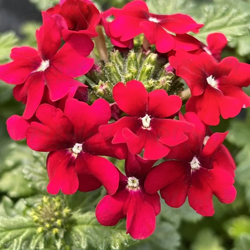 Фото 2