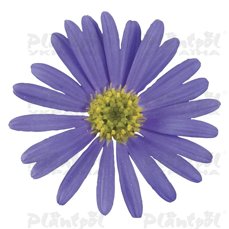 Фото 3