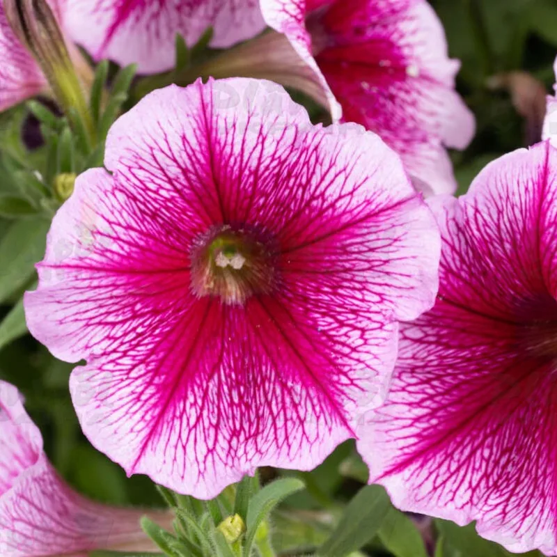 Фото 3