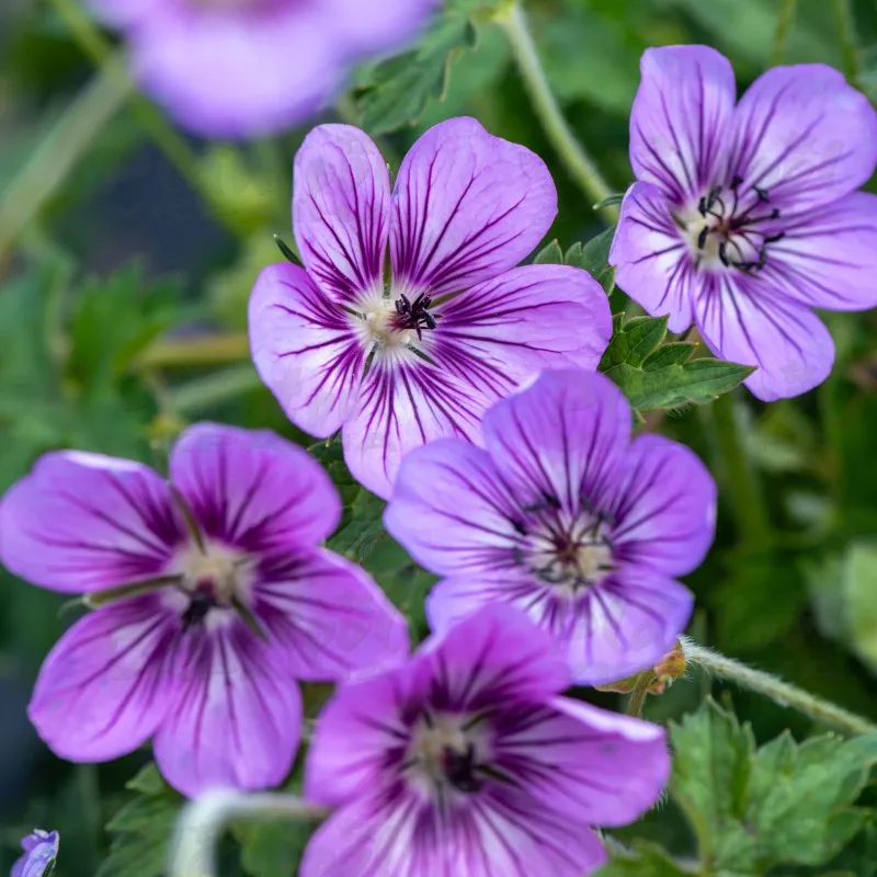 Фото 2