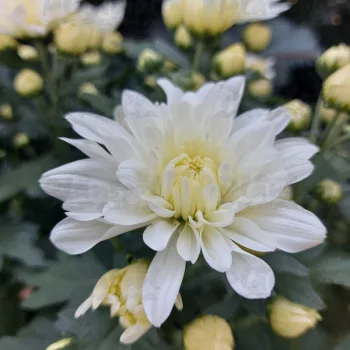 Фото 6