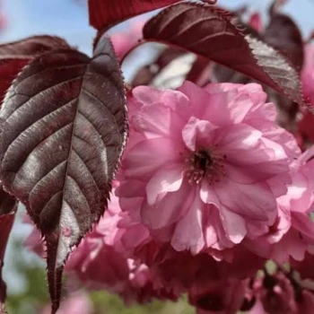 Фото 2