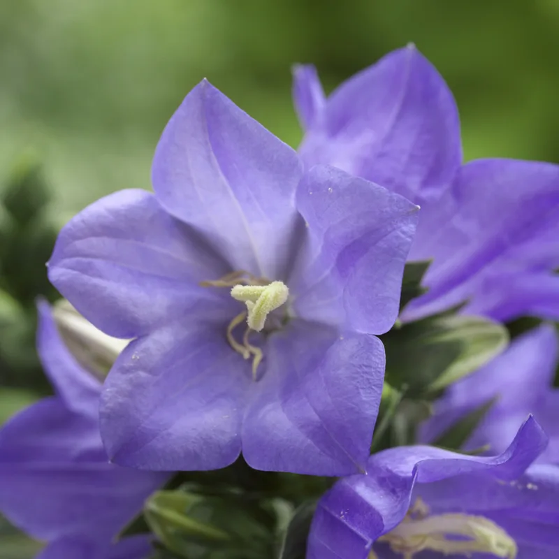Фото 2