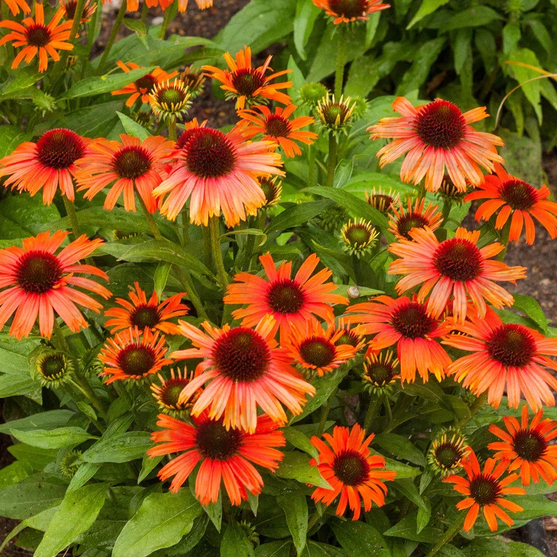 Фото 2