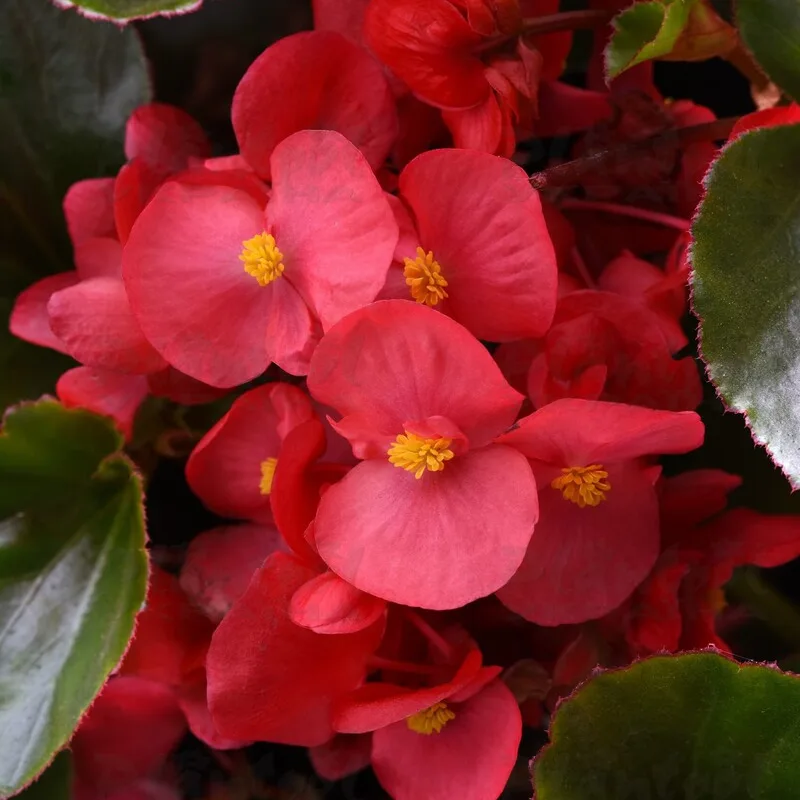Фото 2