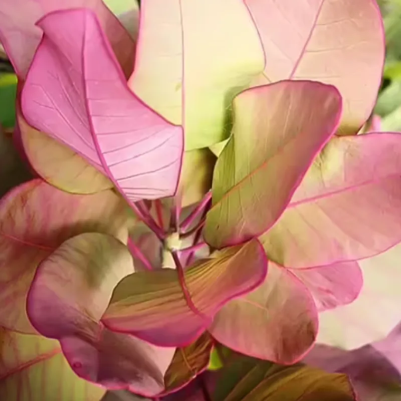 Фото 4