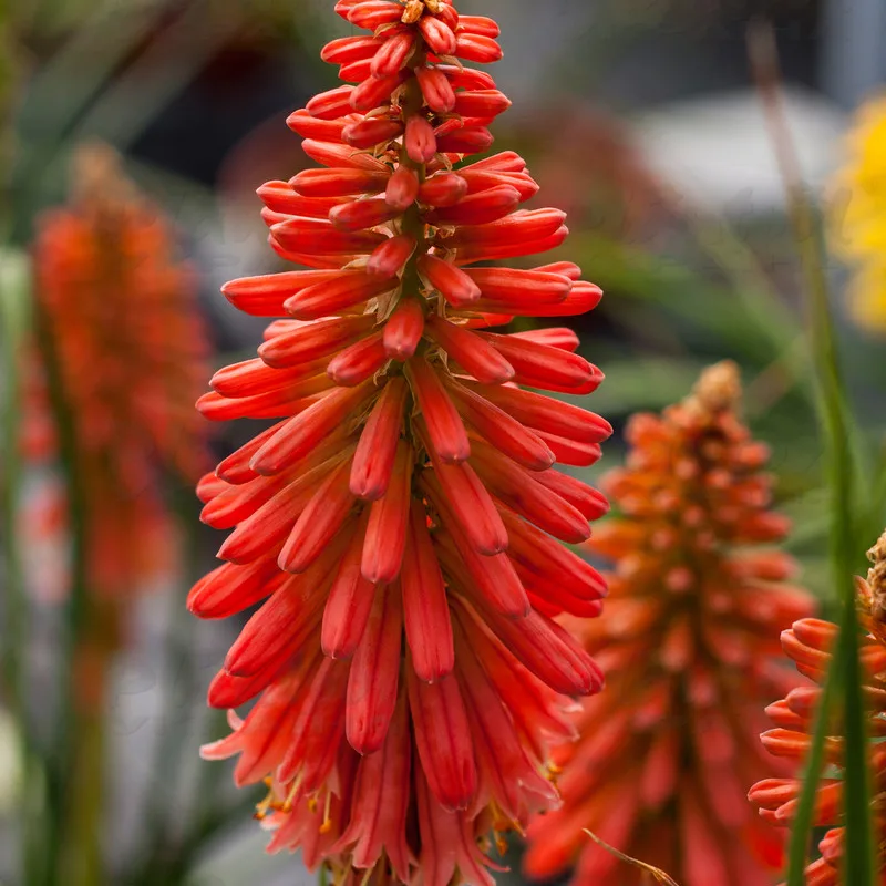 Фото 2