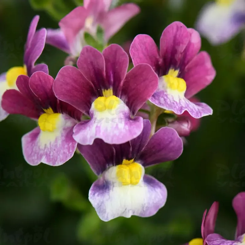 Фото 2