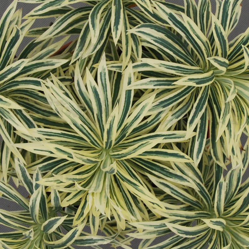 Фото 2