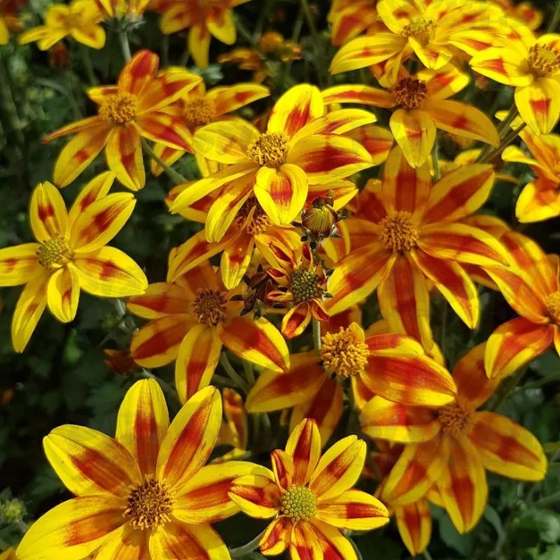 Фото 1