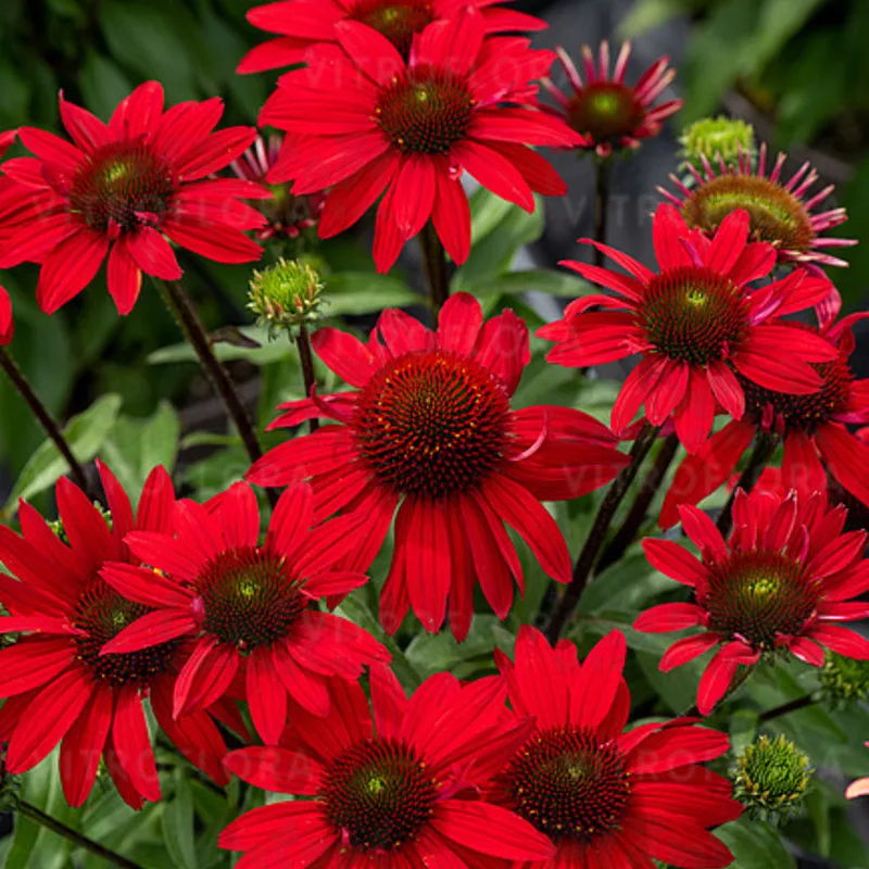 Фото 2