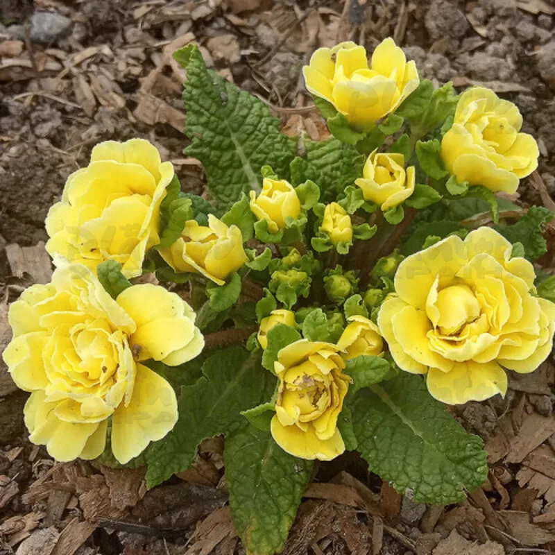 Фото 2