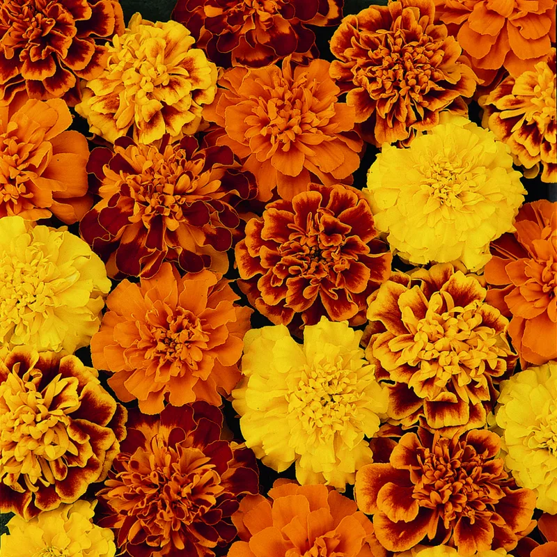 Фото 1