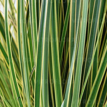 Фото 1