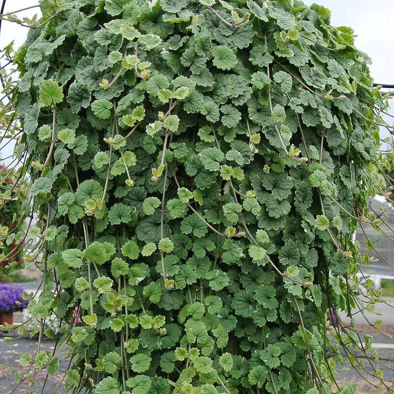 Фото 1