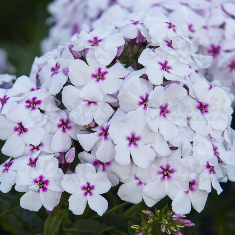 Фото 2