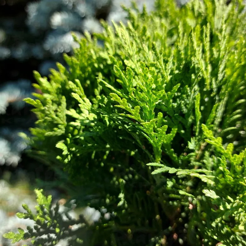 Фото 2