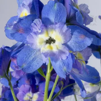 Фото 2