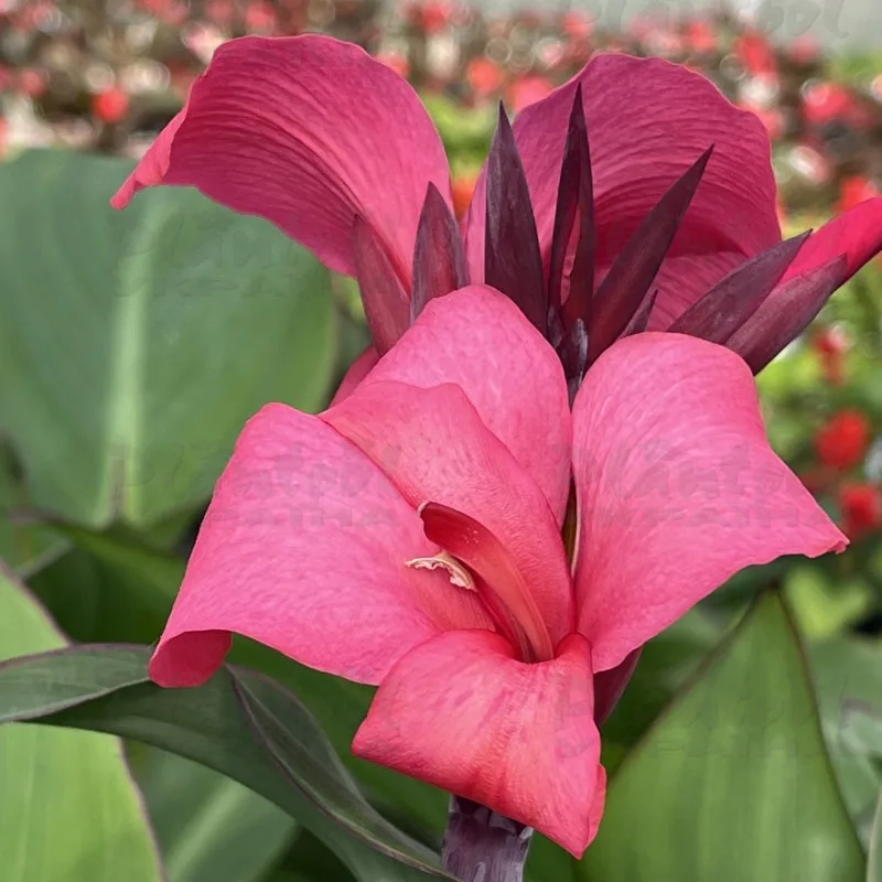 Фото 2
