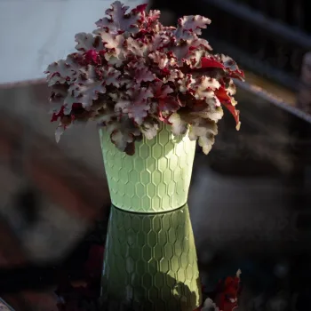 Фото 3