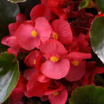 Фото 2