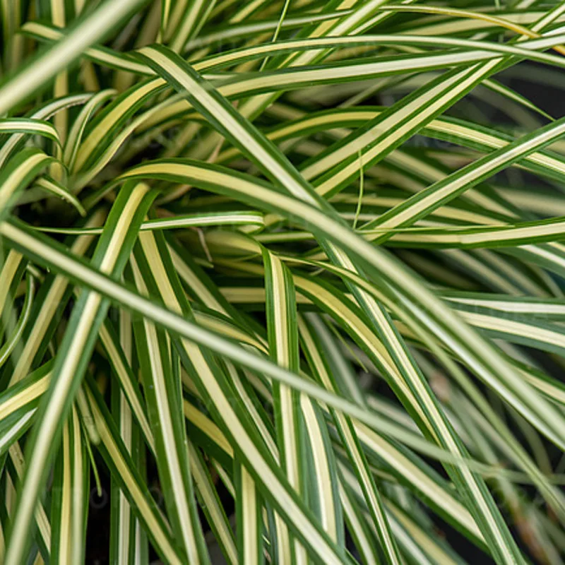 Фото 1