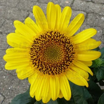 Фото 2