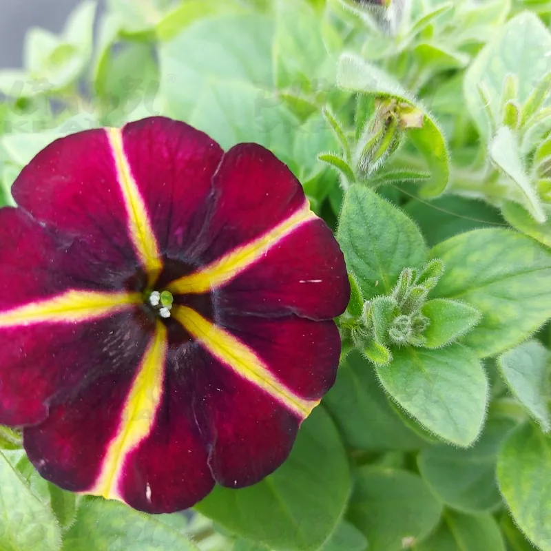 Фото 4