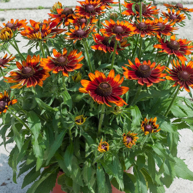 Фото 2