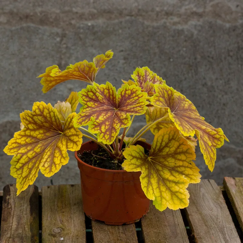 Фото 3