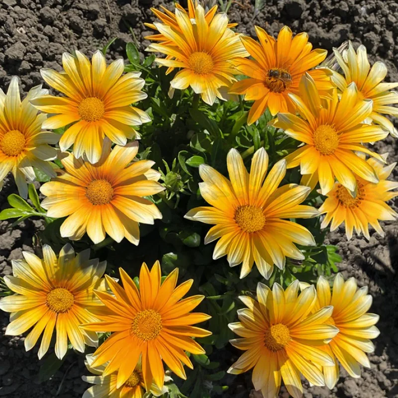 Фото 2