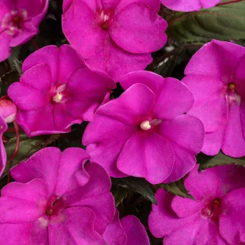 Фото 2