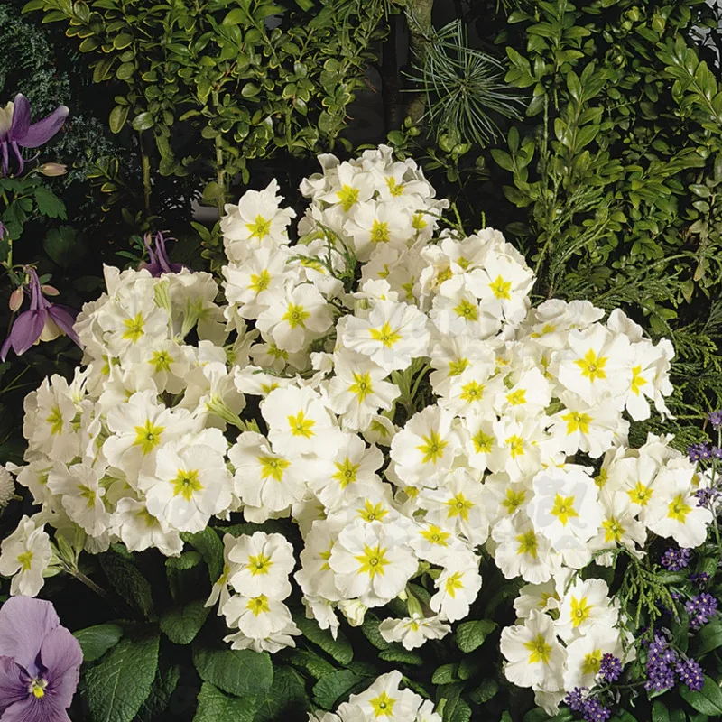 Фото 2