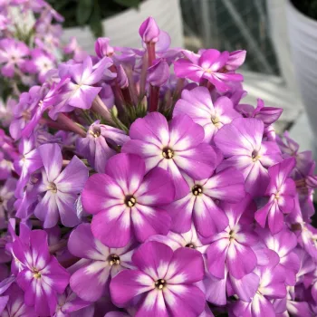 Фото 2