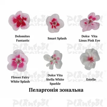Фото 3