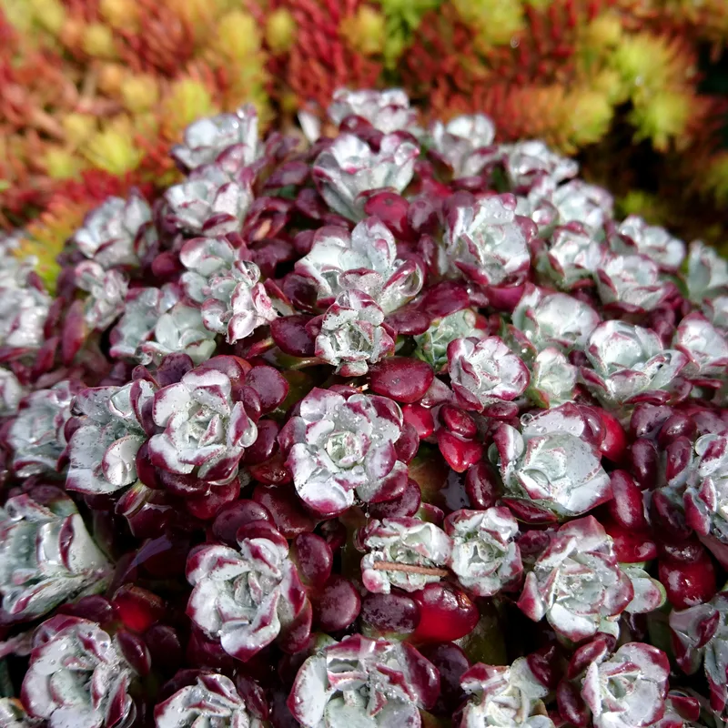 Фото 1
