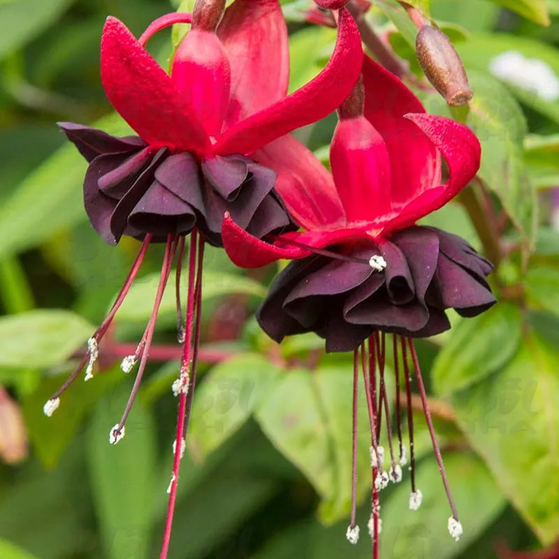 Фото 3