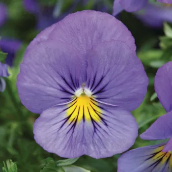 Фото 2
