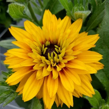 Фото 2
