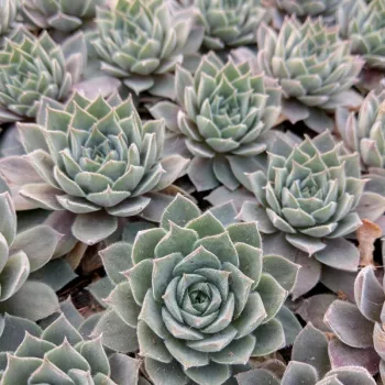 Фото 2