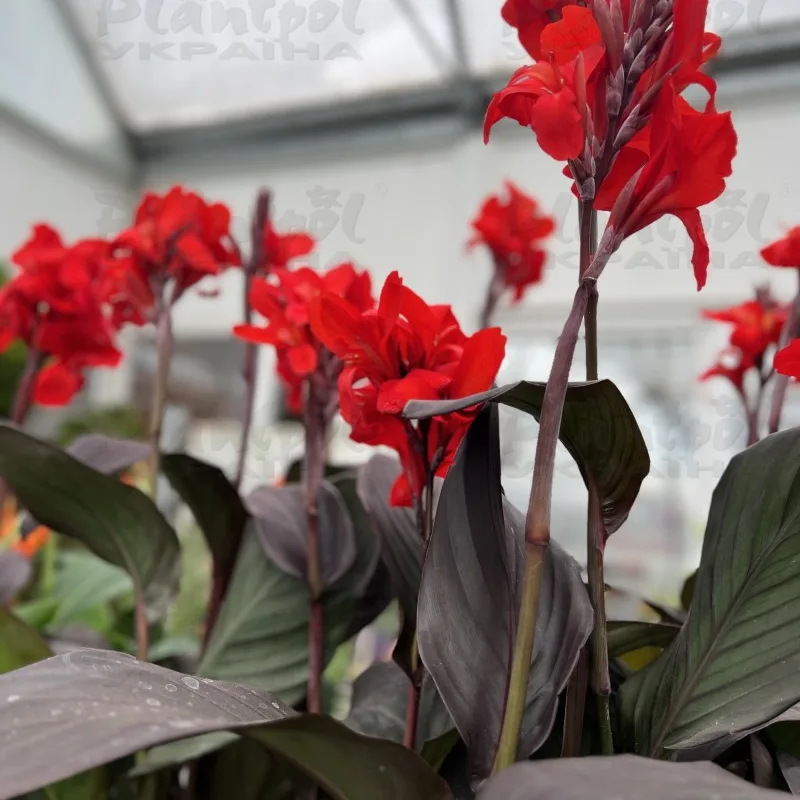 Фото 3