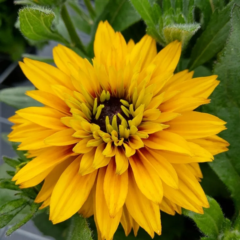 Фото 2
