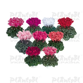 Фото 3